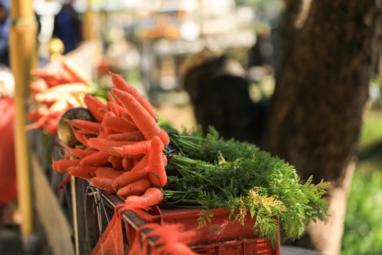 Mud Season Is Market Season: CNY Farmers Markets Gear Up for Spring 2026
