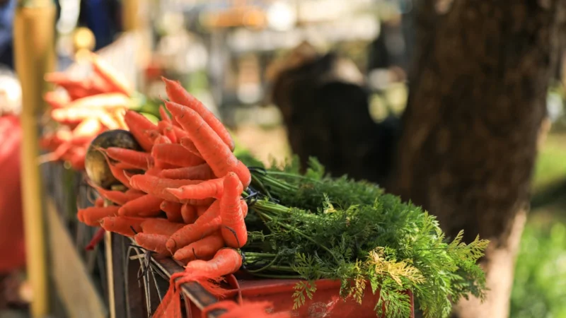 Mud Season Is Market Season: CNY Farmers Markets Gear Up for Spring 2026