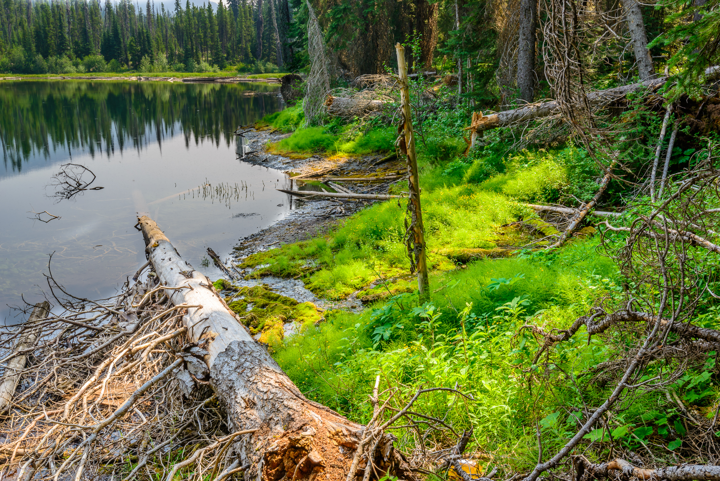 From Superfund to Swimming: Onondaga Lake Posts Its Best Water Quality in a Century