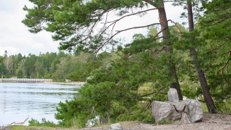 From Superfund to Shoreline Trails: Onondaga Lake’s Slow Transformation Continues