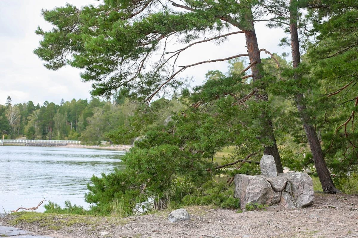From Superfund to Shoreline Trails: Onondaga Lake’s Slow Transformation Continues