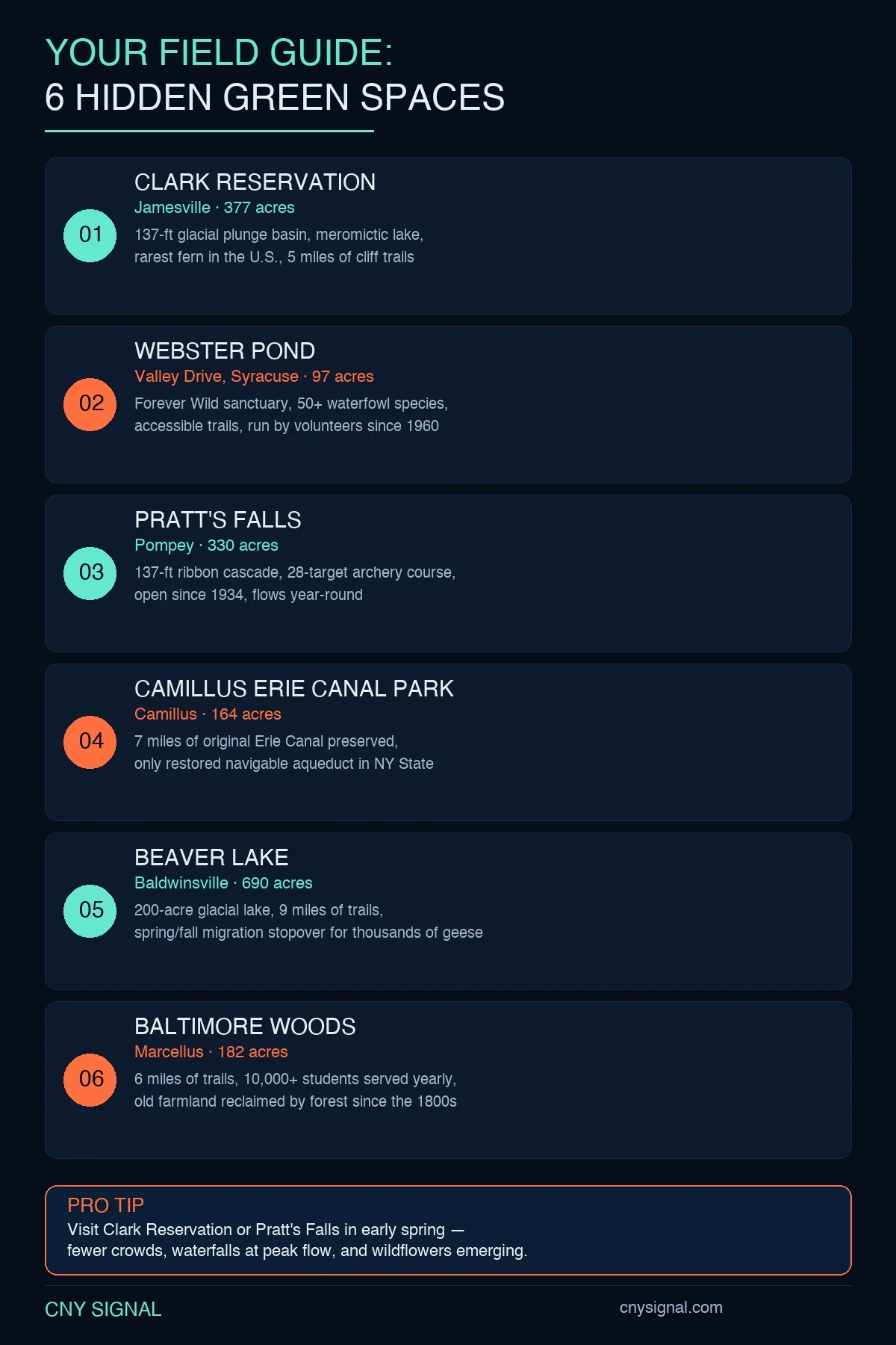Infographic for Six Green Spaces Around Syracuse That Deserve a Spot on Your Weekend List