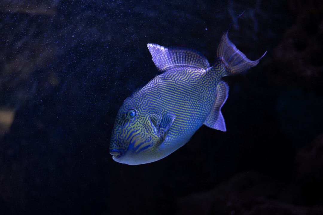 The Aquarium Is Coming: What to Know About Syracuse’s $100M Inner Harbor Attraction