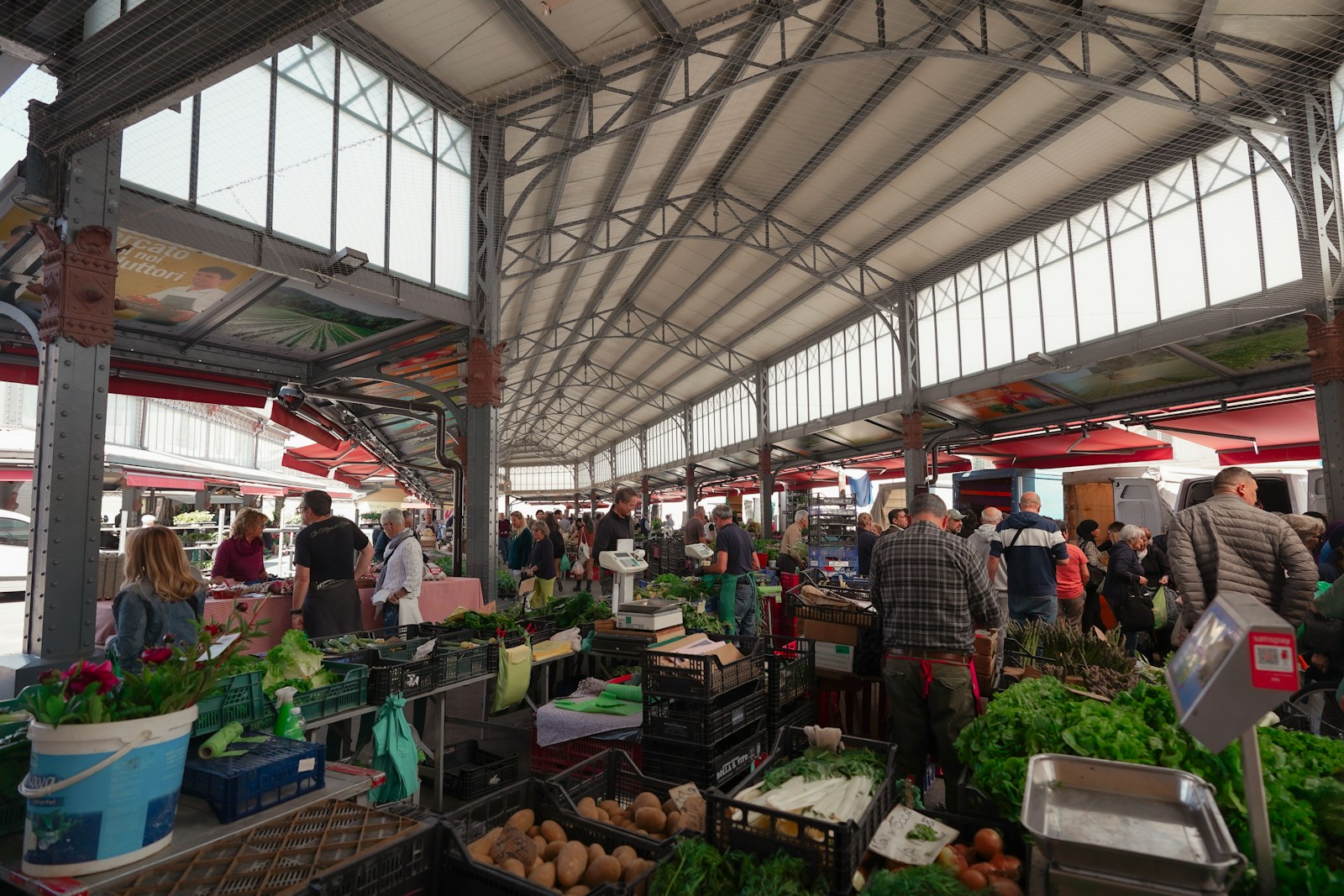Syracuse Farmers Markets Set to Reopen, Boosting Local Economy