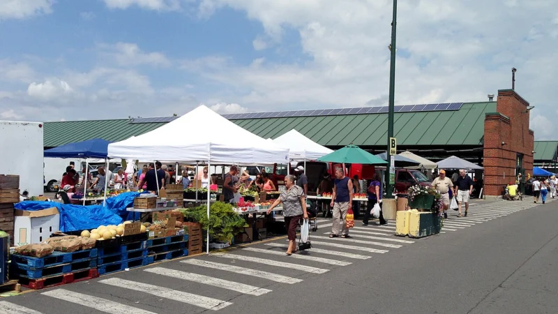 Farmers Markets Flourish as Spring Arrives in Central New York