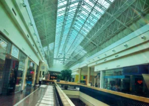 DeWitt’s Next Chapter: ShoppingTown Eminent Domain Win and a $450M Plan