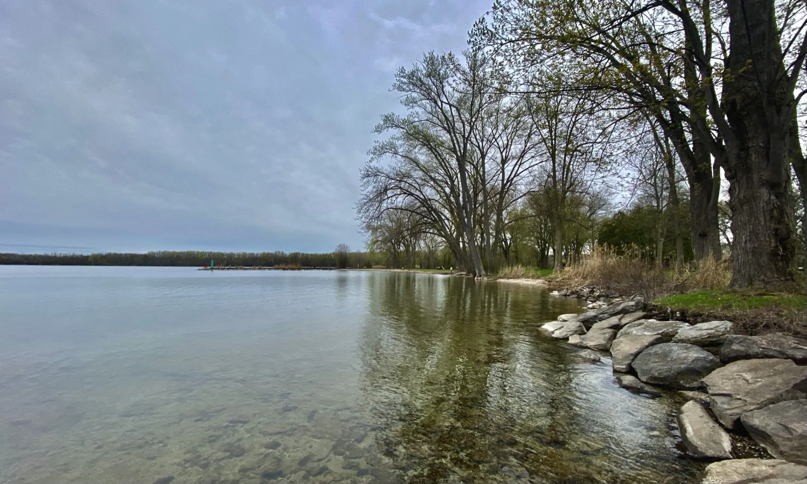 Onondaga Lake shoreline looking northwest from Willow Bay