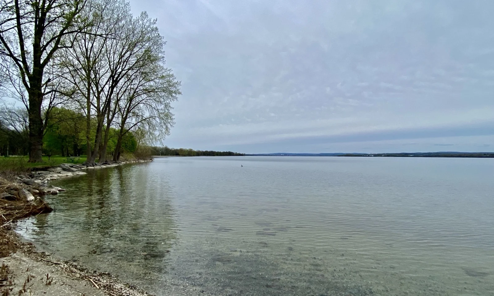 Onondaga Lake shoreline looking southeast from Willow Bay