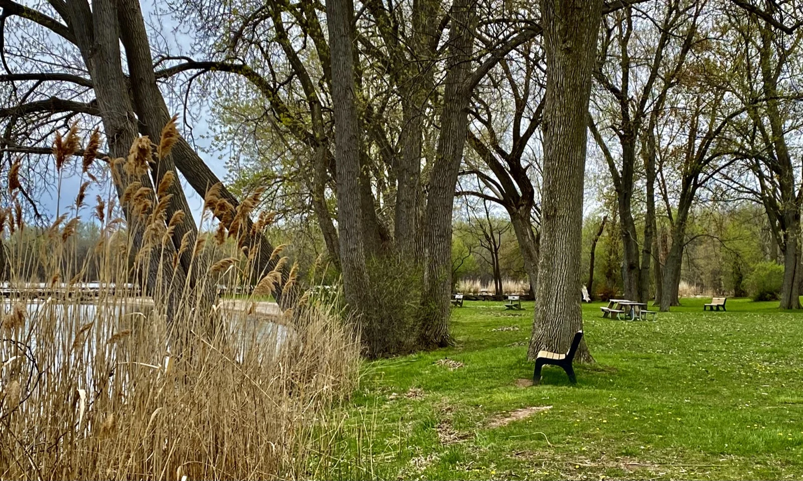 Onondaga Lake shoreline at Willow Bay