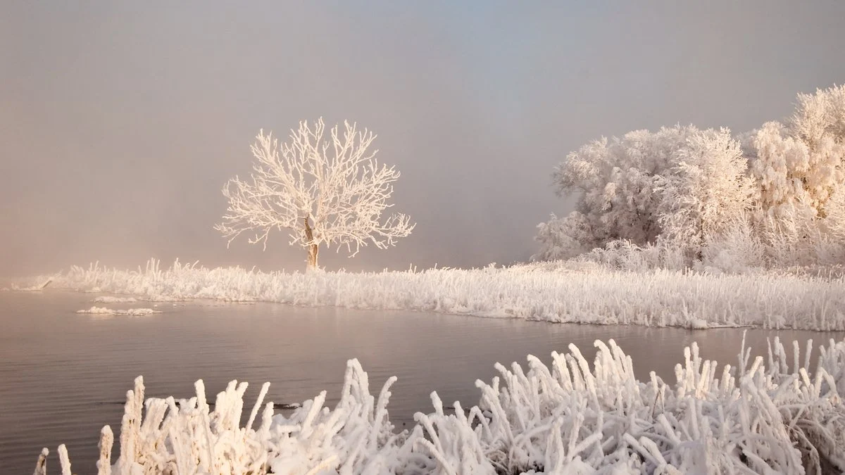 Where Does Your Water Come From? A CNY Guide to What’s Actually in Your Tap