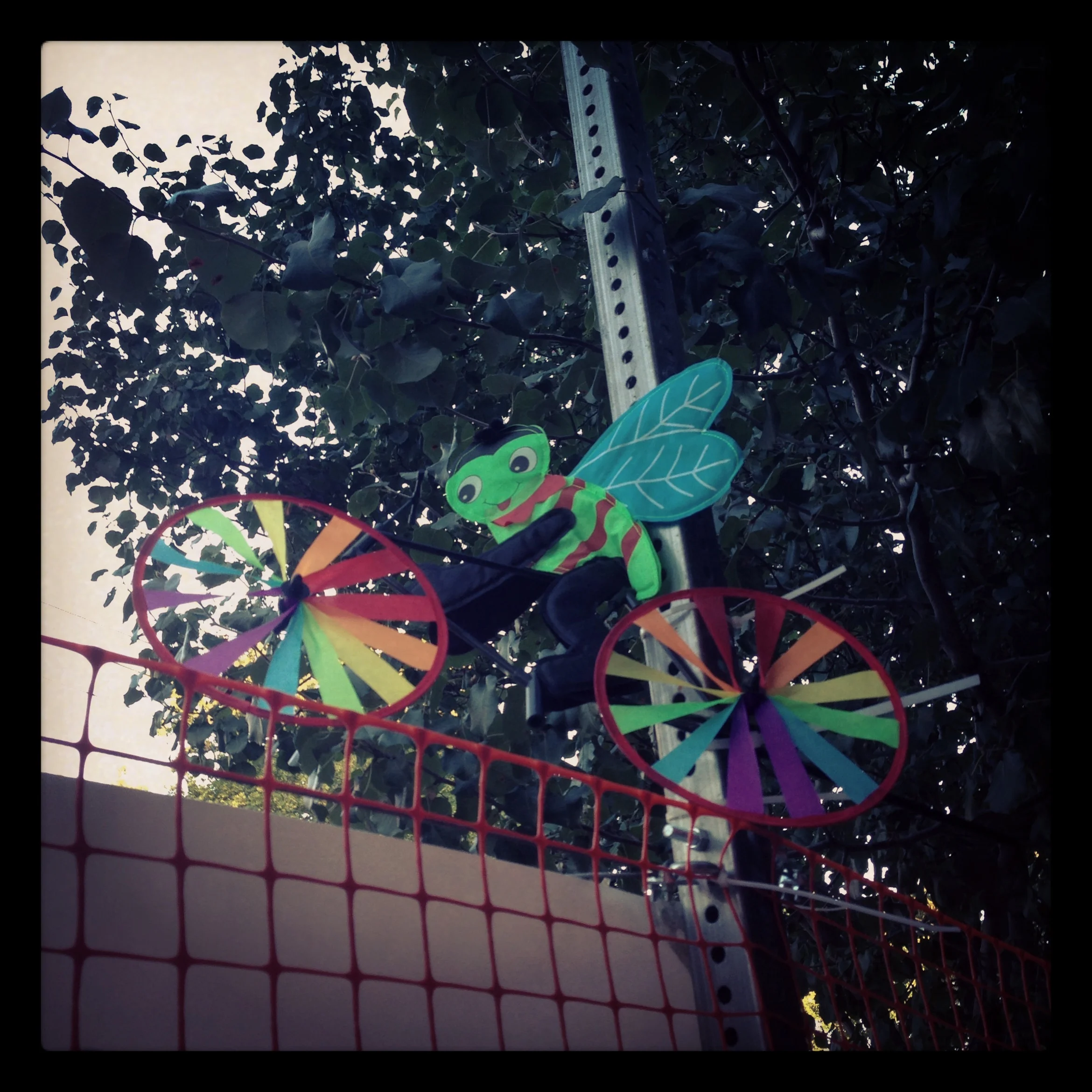 Bee Bike art installation in Westcott, Syracuse