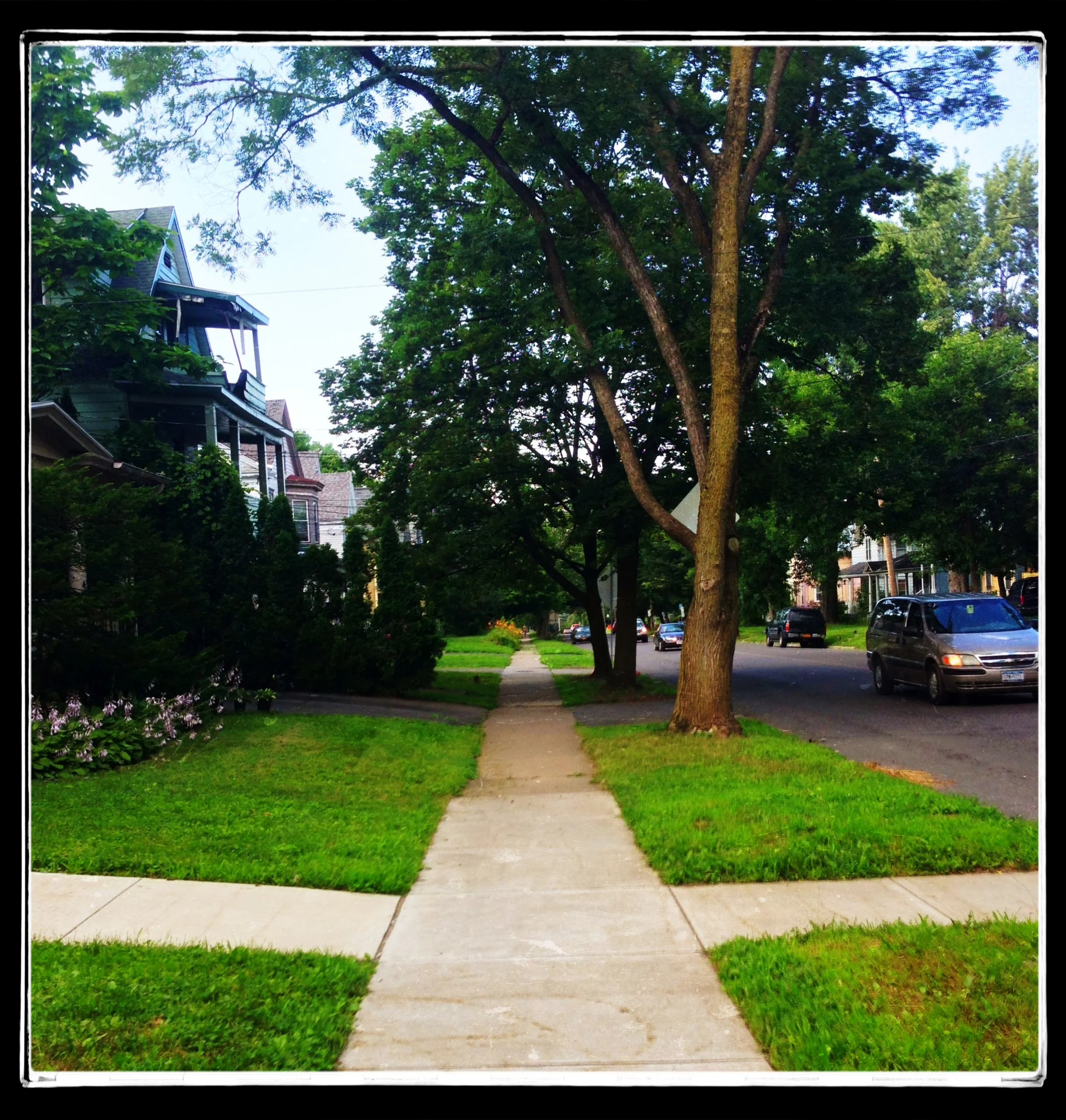 Sidewalk in Westcott neighborhood, Syracuse