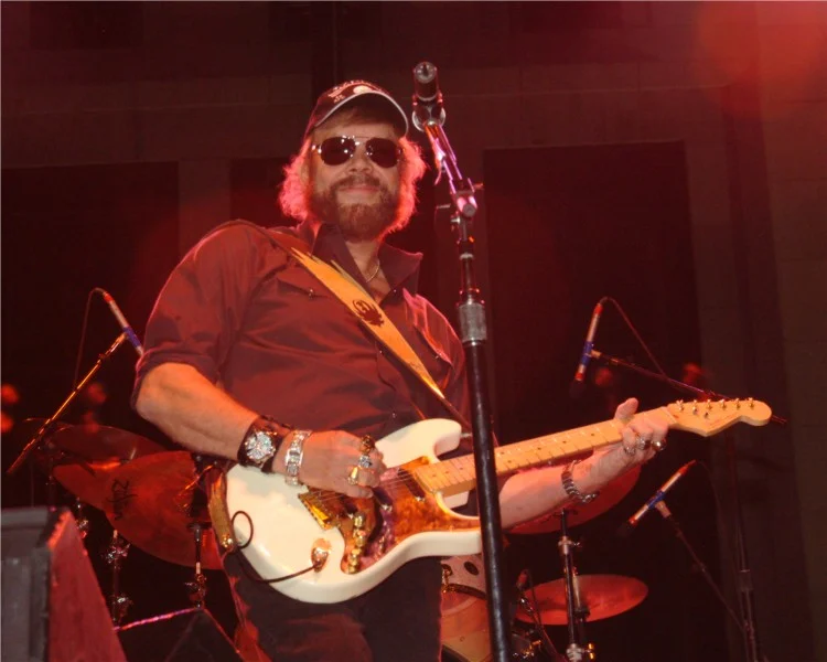 Hank Williams Jr in concert