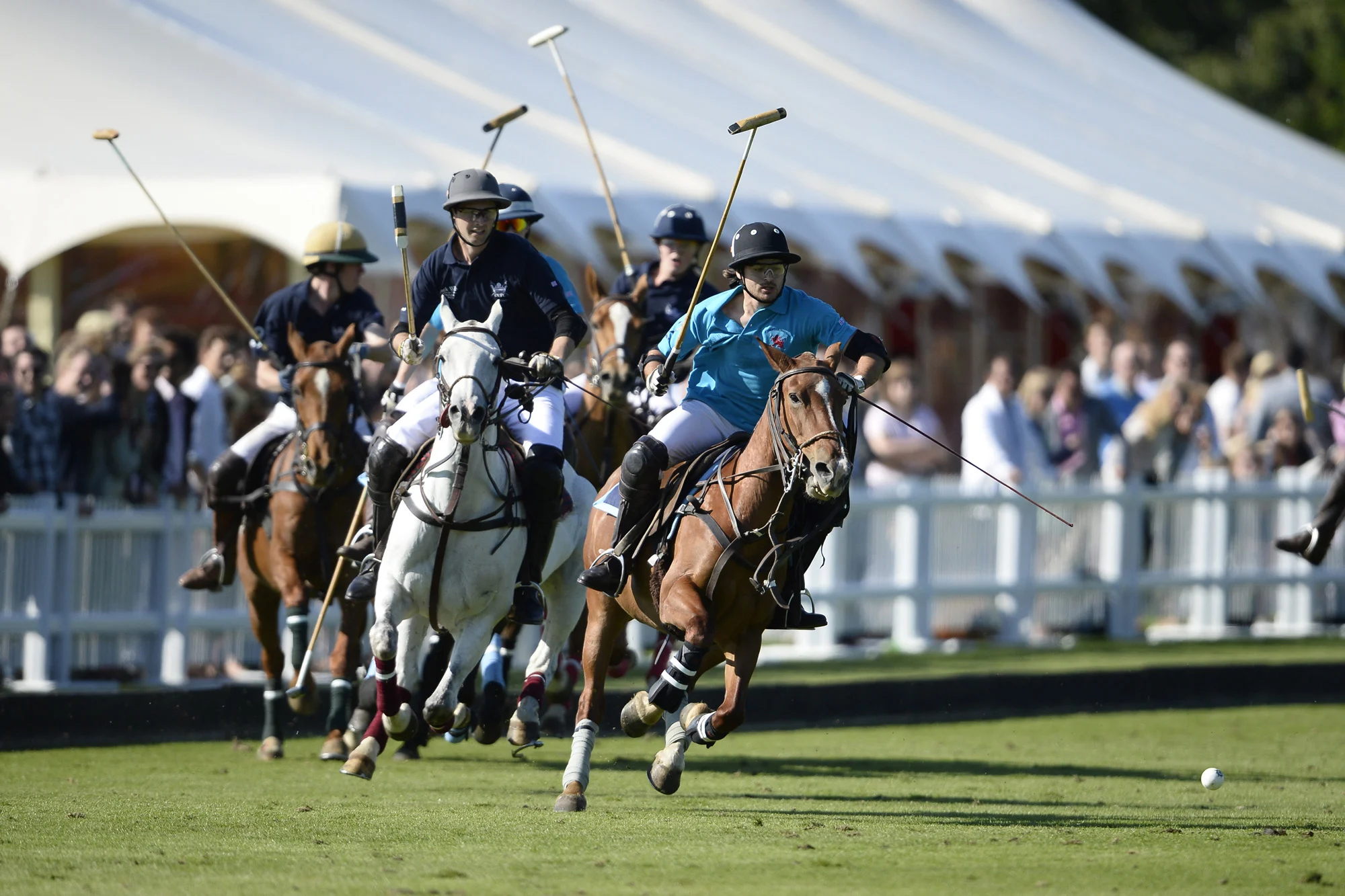 Polo match action