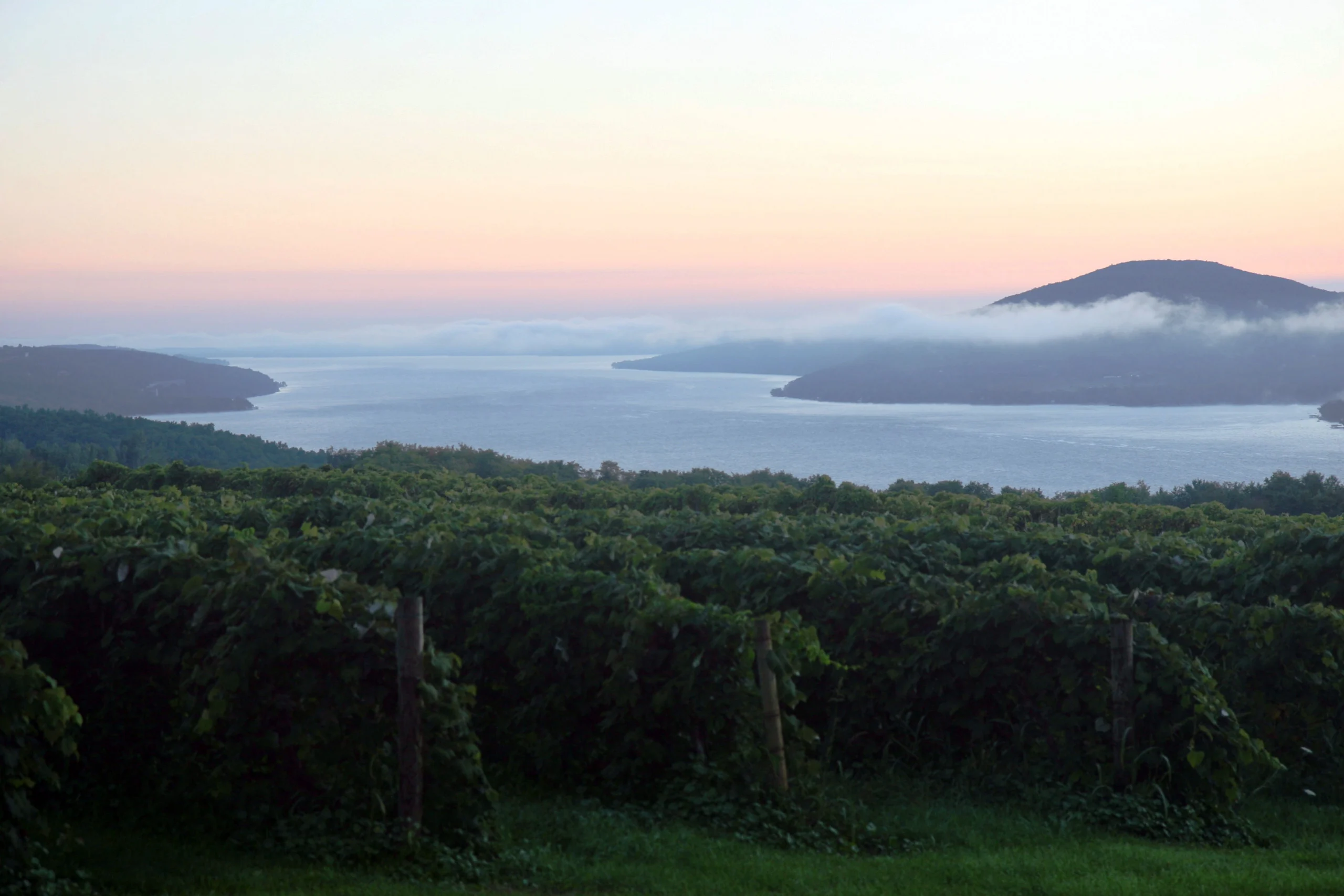 Sunrise overlooking a vineyard in the Finger Lakes region of New York