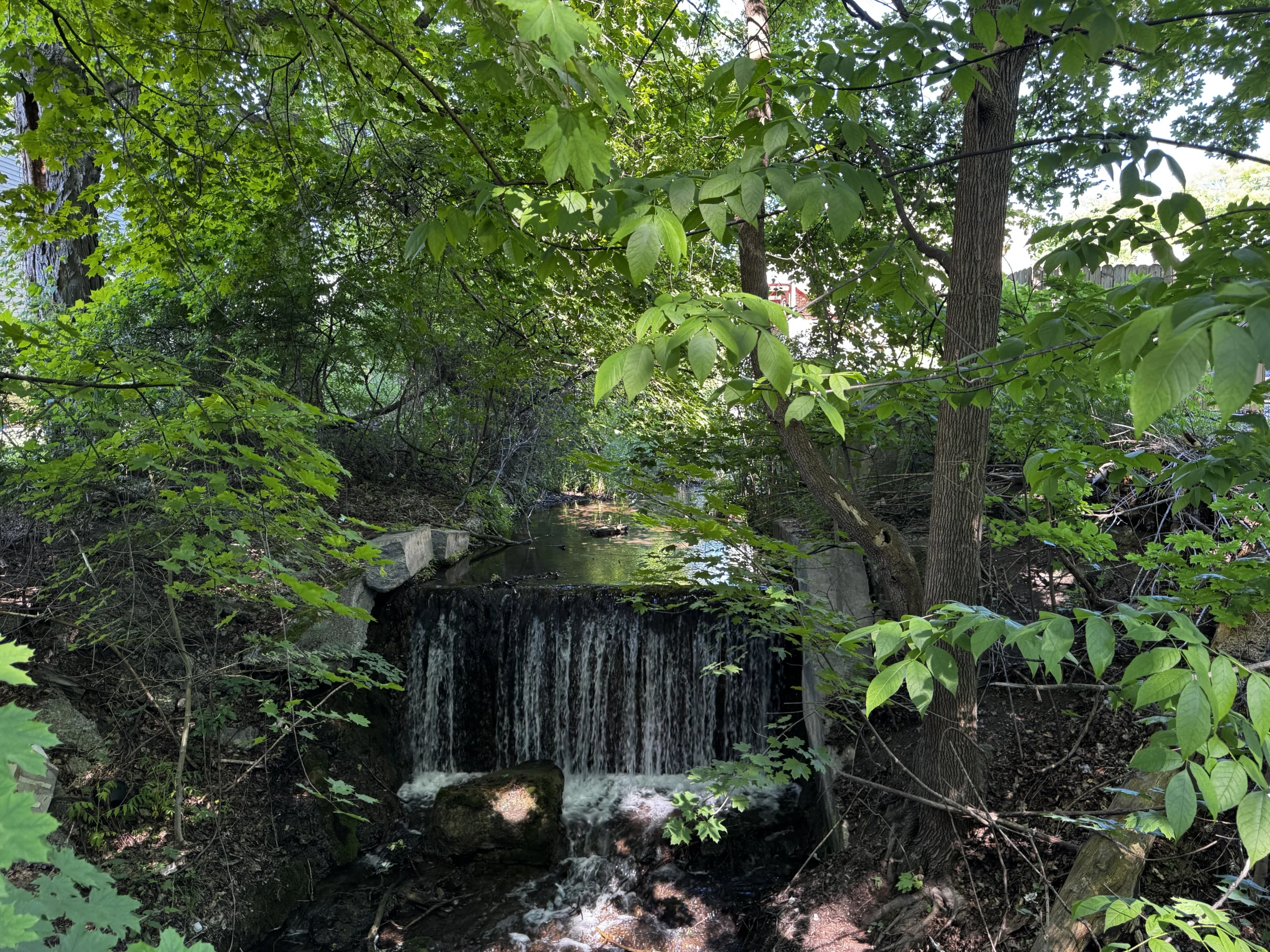 A small waterfall on the Ledyard Canal surrounded by green trees in Fayetteville New York