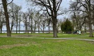 A Clay Rezone Would Open 18.2 Acres to Apartments. A Third of the Site Is Wetland, and No Site Plan Has Been Filed
