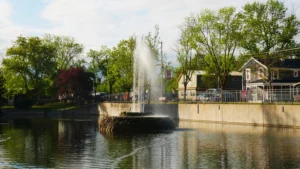 Fourth annual Swan Fest in Manlius draws crowds with tram rides and art contest