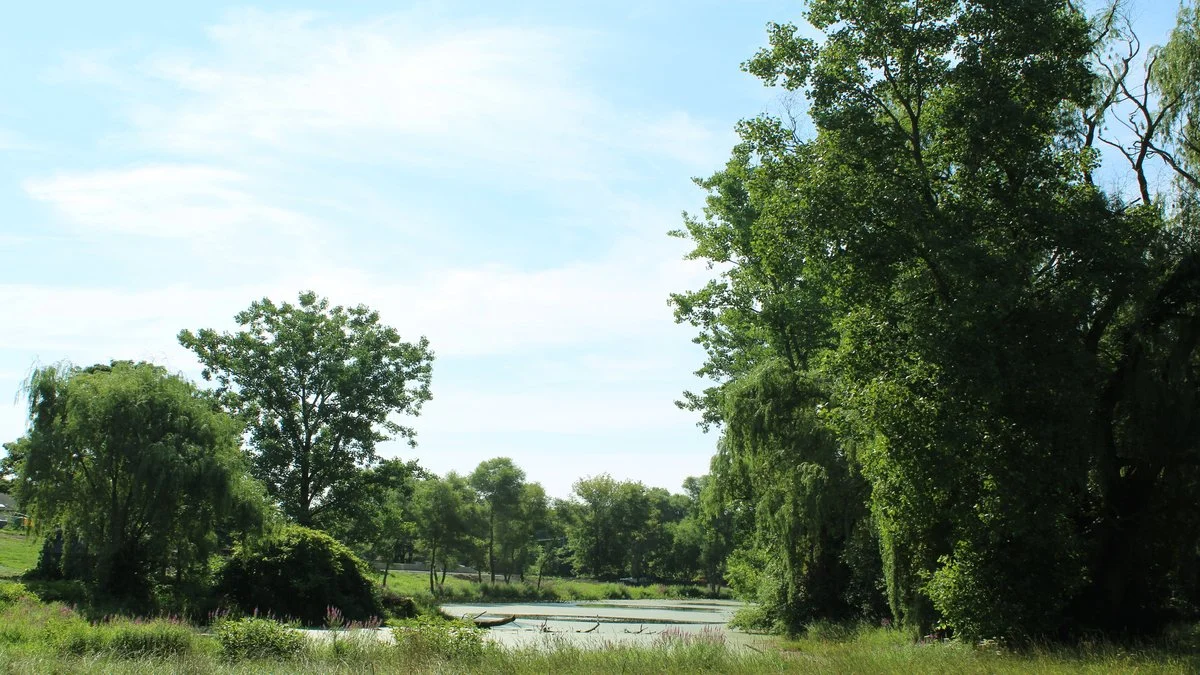 Webster Pond in Syracuse receives $25,000 grant for preservation efforts